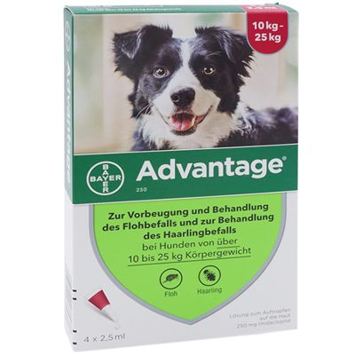 Advantage 250 mg bei Hunden von über 10 bis 25 kg