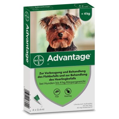 Advantage 40 mg bei Hunden bis 4 kg Körpergewicht
