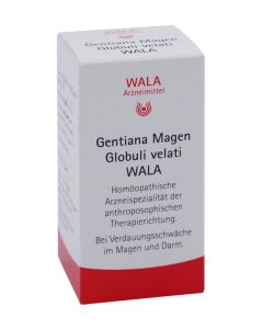 Gentiana Magen Glo Wala