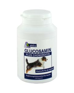 GLUCOSAMIN+CHONDROITIN Kapseln für Hunde-120 St
