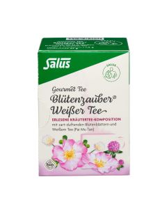 WEISSER TEE Blütenzauber Bio Salus Filterbeutel